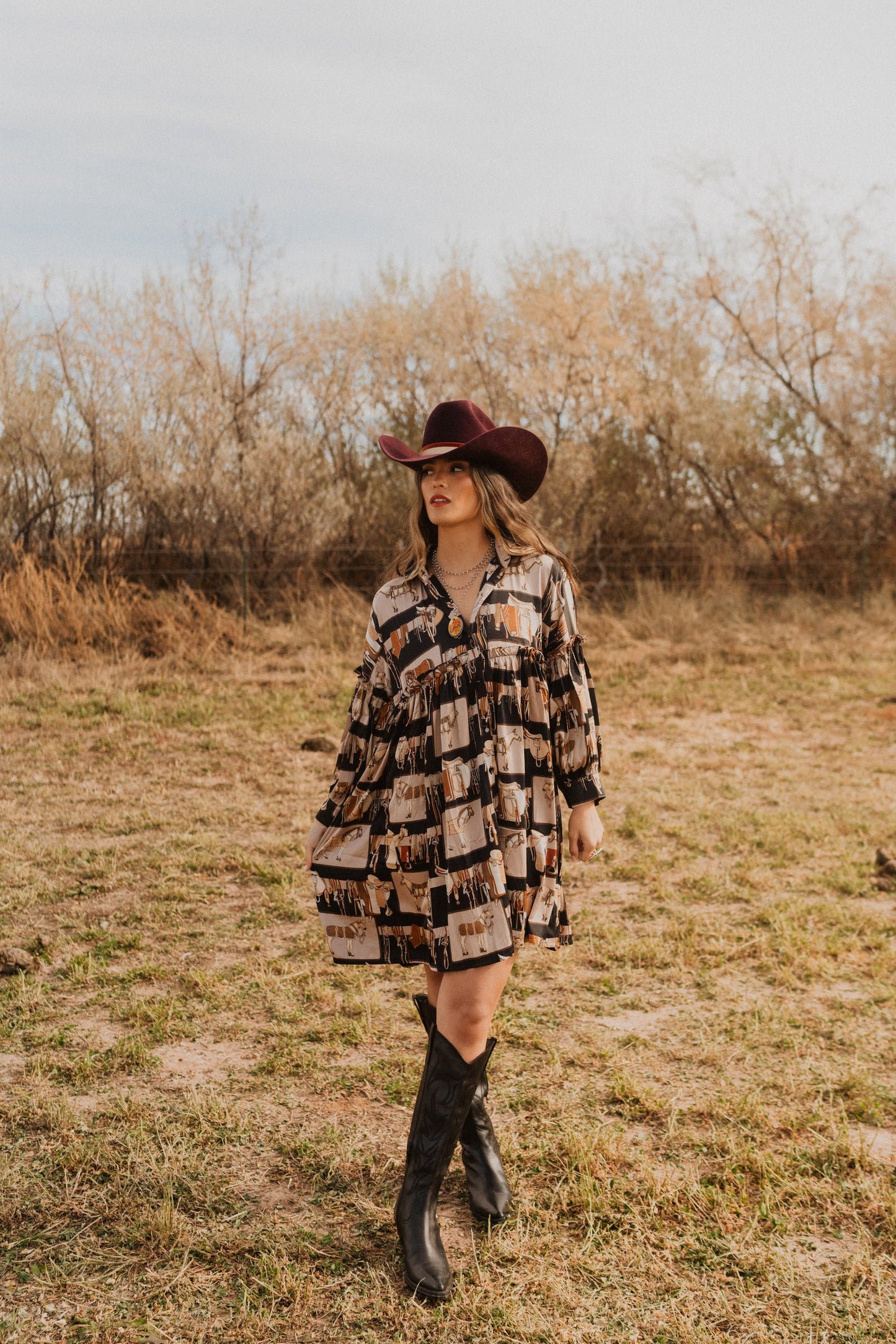 Saddle Up Dress
