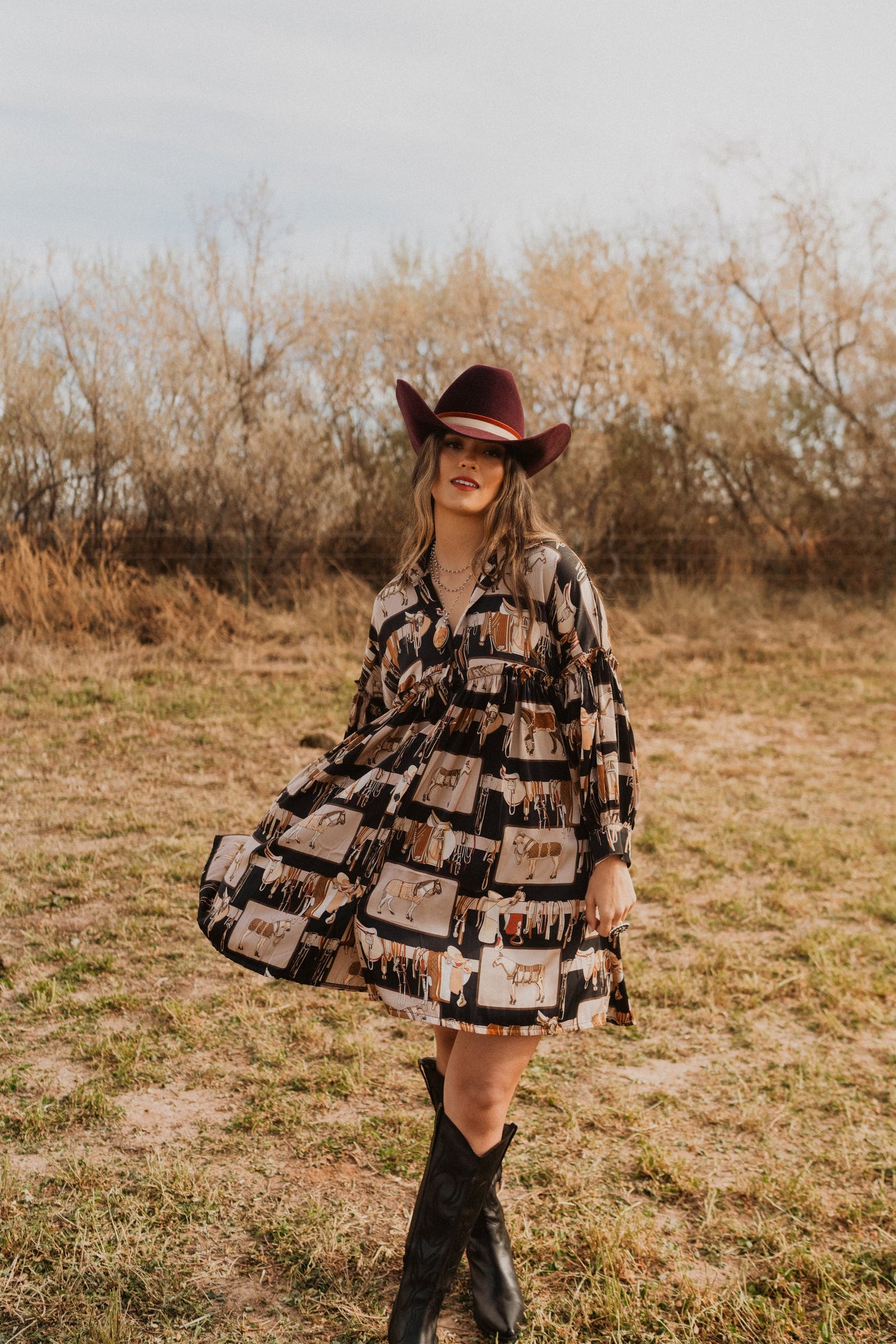 Saddle Up Dress